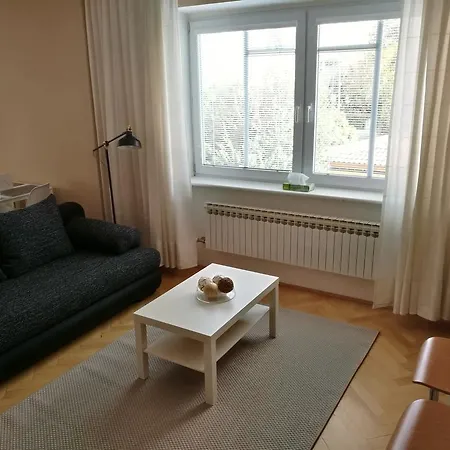 Haas 54 Apartament Brno