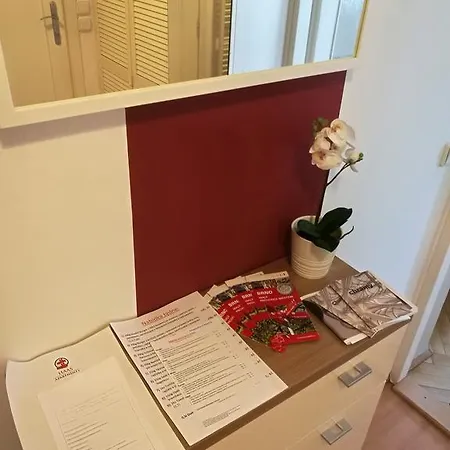 Apartament Haas 54 Brno