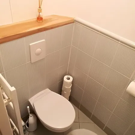 Apartament Haas 54 Brno